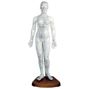 Imagem de Modelo Feminino de Acupuntura 50 cm
