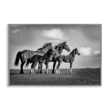 Imagem de Stupell Industries Babies On Board Horse Family Gray Framed Giclee Art Design por Wendy Caro, 20 x 30