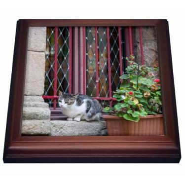 Imagem de 3dRose Danita Delimont - França - Gato empoleirado em um parapeito de janela com uma caixa de flores. - Trivets (trv_227317), Natural, 8 x 8", 1