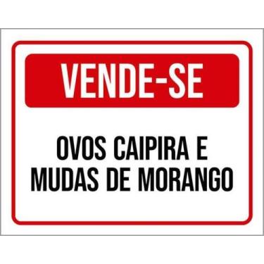 Imagem de Kit 3 Placas Sinalização Vende-Se Ovos Caipira Mudas Morango - Sinaliz