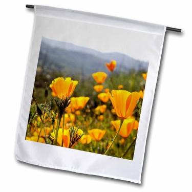 Imagem de 3dRose Flores douradas de papoula da Califórnia, EUA - Tom Norring - Bandeira de jardim, 30,48 x 45,72 cm