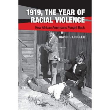 Imagem de Livro 1919, O ano da violência racial afro-americanos