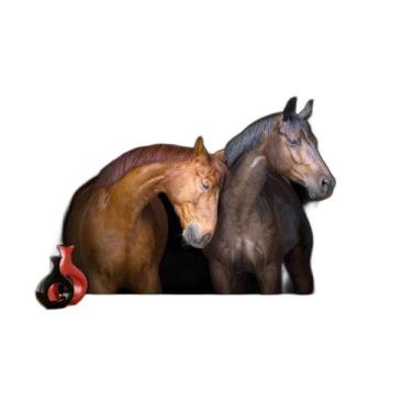 Imagem de Papel De Parede Animais Casal Cavalos Fazenda 3,5M Anm321 - Você Decor