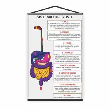 Imagem de Banner Pedagógico Escolar Sistema Digestivo 120X65Cm - Plimshop