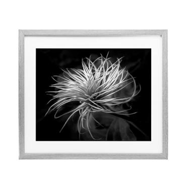 Imagem de Stupell Industries Impressão emoldurada cinza com contraste de folhas botânicas torcidas sob vidro, design de Phillip Flowers, 33 x 40 cm
