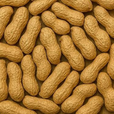 Imagem de Amendoim Grãos Inteiros Cru Com Casca Alta Qualidade 100g - Grupo Roch