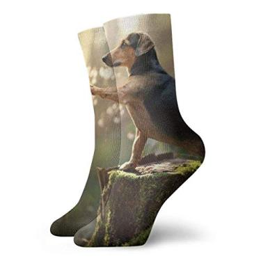 Imagem de Cortina Tóquio para Trilho Comum Tecido Oxford 2,00m x 1,70m Janela Quarto Sala - Cinza