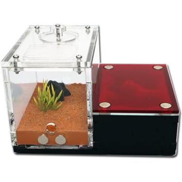 Imagem de Fazenda de formigas Solo amarelo Casa de formigas Área de reprodução da rainha Ninho de formiga Formigueiro Castelo Caixa de insetos Formicarium para observar o habitat de formigas vivas par