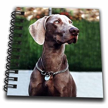Imagem de 3dRose db_1095_3 Weimaraner-Mini bloco de notas, 10 x 10 cm