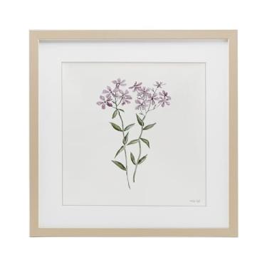 Imagem de Stupell Industries Impressão emoldurada de bétula botânica Phlox roxa sob vidro, design de Cindy Jacobs, 40,6 x 40,6 cm