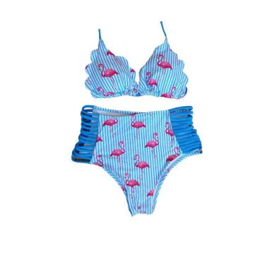 Imagem de Biquíni Cortininha Hot Pant Flamingo Com Tiras Laterais