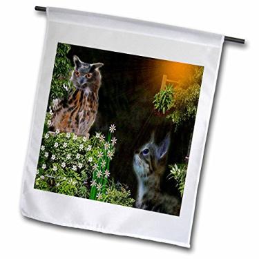 Imagem de 3dRose fl_9108_1 Bandeira de jardim de gato The Owl and The Pussy, 30 x 45 cm
