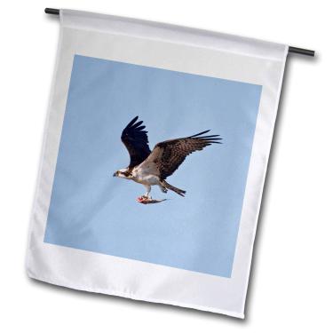 Imagem de 3dRose fl_146803_1 Osprey Bird in Flight with Fish, Texas, EUA Larry Ditto Bandeira de jardim, 30 x 45 cm