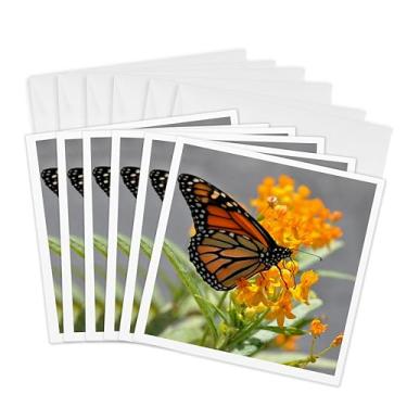 Imagem de 3dRose Cartões comemorativos - Borboleta monarca em uma flor laranja na Flórida - 15 x 15 cm, conjunto de 6 (gc_292235_1)
