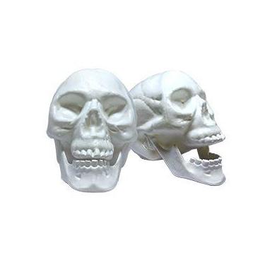 Imagem de Crânio com Mandíbula Articulada Caveira Halloween - Festas Brinquedos,