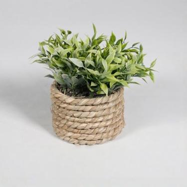 Imagem de Pequenos vasos de plantas falsas: plantas artificiais com plantadores de algas marinhas, decorações de casa de fazenda interna, eucalipto para casa