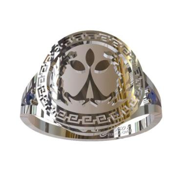 Imagem de Anel De Formatura De Gestão Ambiental Em Prata 950k - Vieira Cruz Jóia