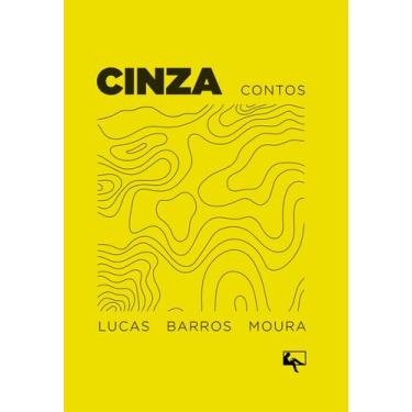 Imagem de Livro - Cinza