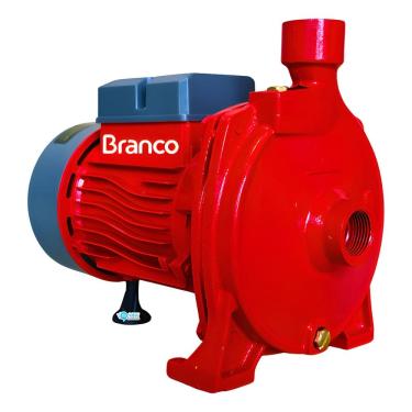 Imagem de Motobomba Centrifuga 1/2cv Bivolt C/ Chave Seletora Branco