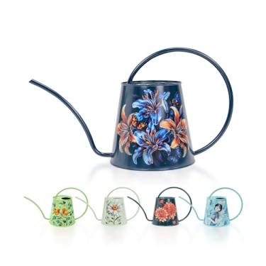 Imagem de Berry&Bird Regador Para Plantas Domésticas - Lata De Água Aço Inoxidável 1/2 Galão Ambientes Internos E Externos Com Bico Longo, Decoração Jardim Flores, Bonsai, Suculentas, Jardinagem, Garrafa Gran