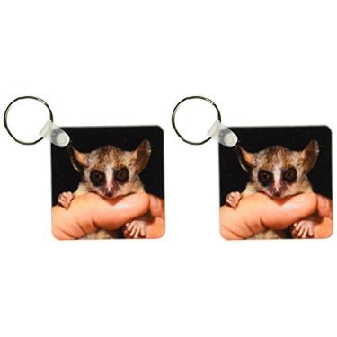 Imagem de 3dRose Madagascar, floresta seca ocidental, lemur de rato cinza primate-AF24 POX0054 - Pete Oxford - Chaveiros, 5,7 x 11,4 cm, conjunto de 2 (kc_72898_1)