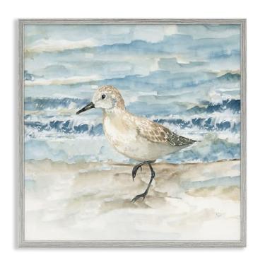 Imagem de Stupell Industries Balancing Sandpiper on Shore Gray Framed Giclee Art, design por Nan, 12 x 12