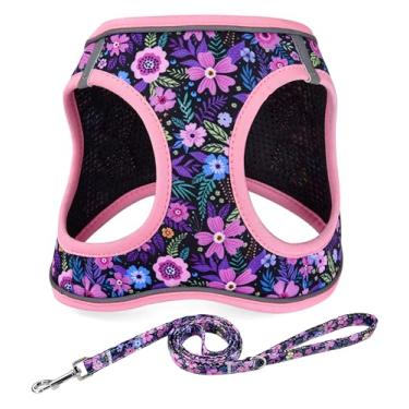 Imagem de Mihqy Step in Conjunto de coleira e coleira para cães, refletivo, ajustável, antipuxão, para cães extrapequenos/pequenos, filhotes e gatos, colete de malha acolchoada macia para meninas e meninos
