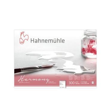 Imagem de Bloco Papel Harmony Hahnemühle 300g 17,8x25,4cm Grano Fino 10628070 - 
