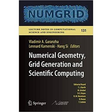 Imagem de Numerical Geometry Grid Generation And Scientific Computing