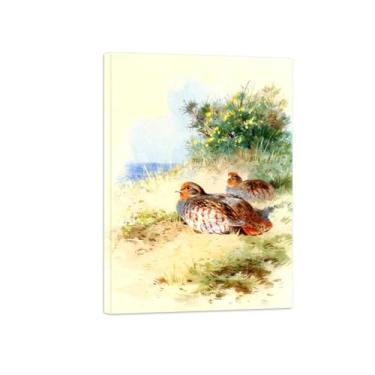 Imagem de Animais Pinturas Famosas Arte Parede-Fotos Lona para Sala de Estar-Perdizes cinza-Pôster e Imprimir Decoração 50x70cm20x27in Tela Embrulhada