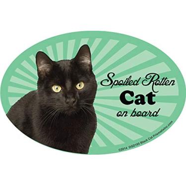 Imagem de Prismatix Gato podre mimado com ímã