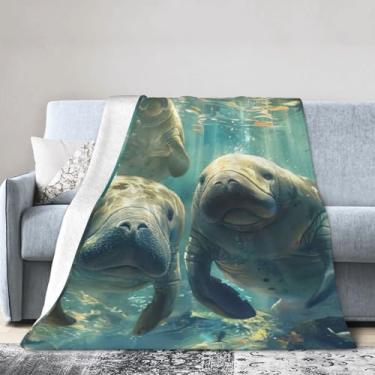 Imagem de Cobertor grande super macio, confortável e quente para cama, sofá e viagens