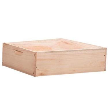 Imagem de Caixa Melgueira Abelha Europeia Africana Apis - Apiario Meliponario Ch