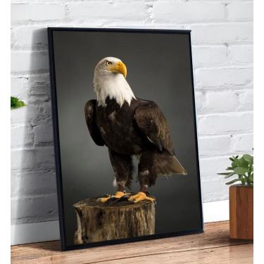 Imagem de Placa/Quadro Decorativo Águia Americana 40X60Cm Ps 2Mm