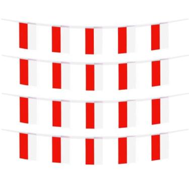 Imagem de FFILL Corda de bandeira polonesa de 6 metros e 20 bandeiras, mini bandeira da Polônia, para decoração de festas, lojas e bares e celebrações do Dia Internacional. Bandeira com tema de país europeu
