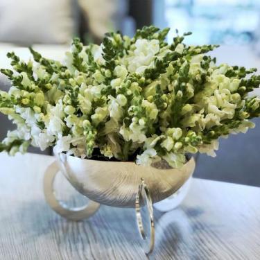 Imagem de Bowl Olympia Pequeno Prata - St James