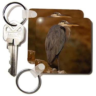Imagem de 3dRose Garça azul, Enseada do Tagus, Ilhas Galápagos - SA07 POX0351 - Pete Oxford - Chaveiros, 5,7 x 11,4 cm, conjunto de 2 (kc_86273_1)