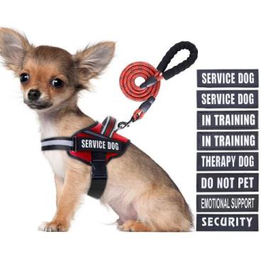 Imagem de Conjunto de colete e coleira Service Dog Animire in Training