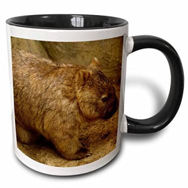 Imagem de 3dRose mug_76198_4"Common Wombat, baby in pouch, captive, Australia-AU01 POX0183 - Pete Oxford" Caneca preta de dois tons, 325 ml, multicolorida