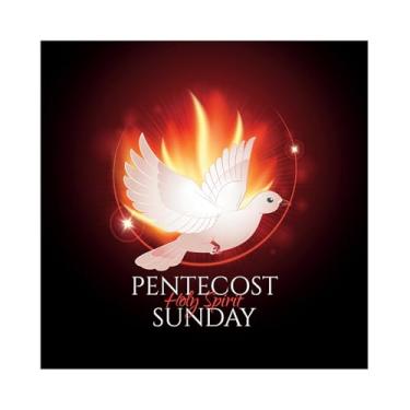 Imagem de Baocicco 2,4 x 2,4 m Pano de fundo de Pentecostes Domingo Espírito Santo como uma pomba branca Chamas Sagradas Luz Sagrada Fotografia Fundo Batizado Religião Festa Festa Fotoshoot Video