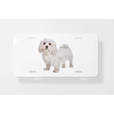 Imagem de Capa para placa de carro Maltese Dog 2 – Capa para placa de carro – Capa para placa de carro 15 x 30 cm