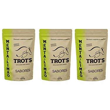 Imagem de Kit 03 Unidades Erva Mate Tereré Trots Menta e Limão 500gr