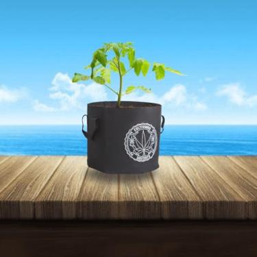 Imagem de VASO DE FELTRO GROW BAG CULTIVANDO SUSTENTO 18 LITROS PARA CULTIVO INDOOR E OUTDOOR COM ALÇA RESISTENTE