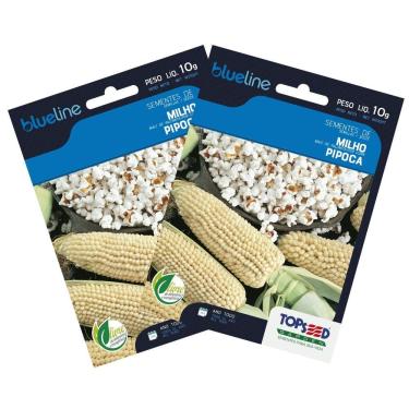 Imagem de 2X Sementes de Milho de Pipoca Blueline TOPSEED