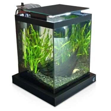 Imagem de Aquário 10 litros Quili Blackbox Nano + Completo + Decoração Natural, 