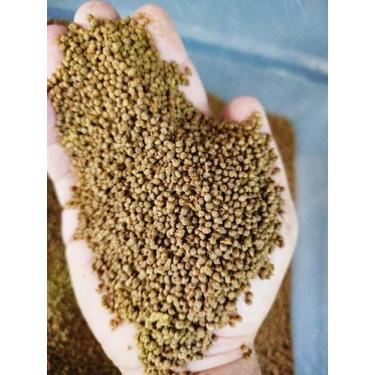 Imagem de 500gr Ração para Tartarugas, Jabuti, Tigre D'agua, Répteis e Peixes Fi