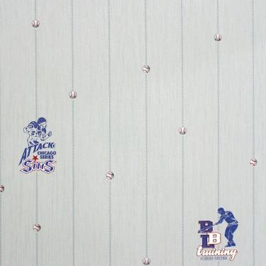 Imagem de Papel De Parede All Kids Linha Esportiva H2910405 Rolo 10m X 0,53m