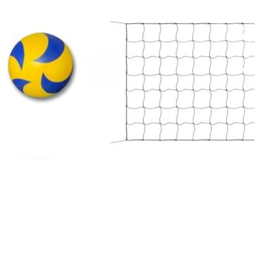 Imagem de Rede De VôLei De Praia Piscina Traga Uma Bola