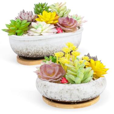 Imagem de ARTKETTY Vasos para suculentas, 1 vaso retangular + 1 vaso de bonsai de cerâmica com bandeja de drenagem, 2 pacotes grandes e rasos para plantas de interior, vaso redondo de cacto para decoração de