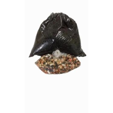 Imagem de Gergelim Preto 1kg Plantar ou Consumir + 10 outros tipos de sementes. 